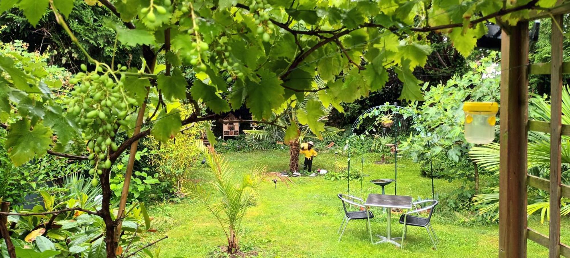 Gite Du Jardin Secret Saint-Valéry-sur-Somme Ngoại thất bức ảnh